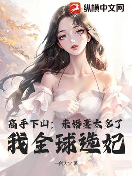 高手下山九個未婚妻