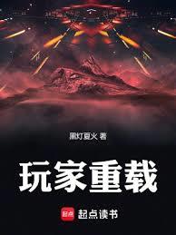 玩家過載小說免費閱讀