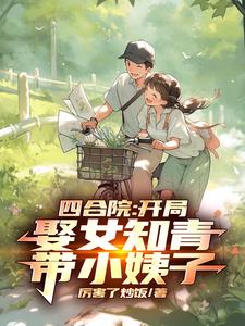 四合院的採購員小說