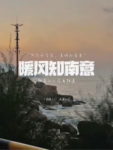 小說南風暖暖