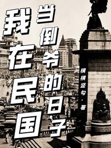 小說我在民國當倒爺