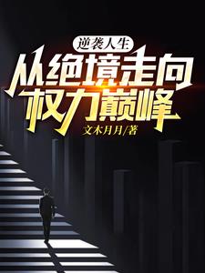 從絕境走向權力巔峰小說