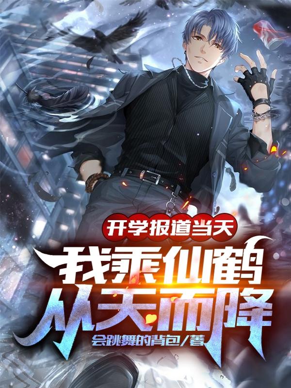 我乘仙鶴從天而降盜版