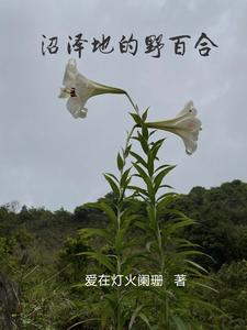 沼澤裡的百可花